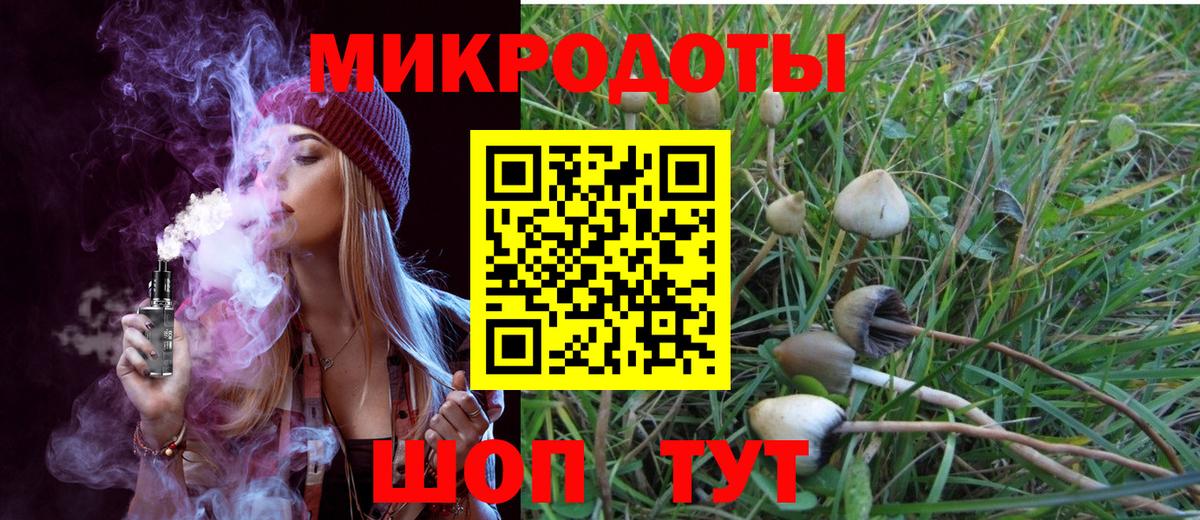 Псилоцибиновые грибы Magic Shrooms  Вход с VPN  Сосновый Бор  Галлюциногенные грибы Psilocybine cubensis 