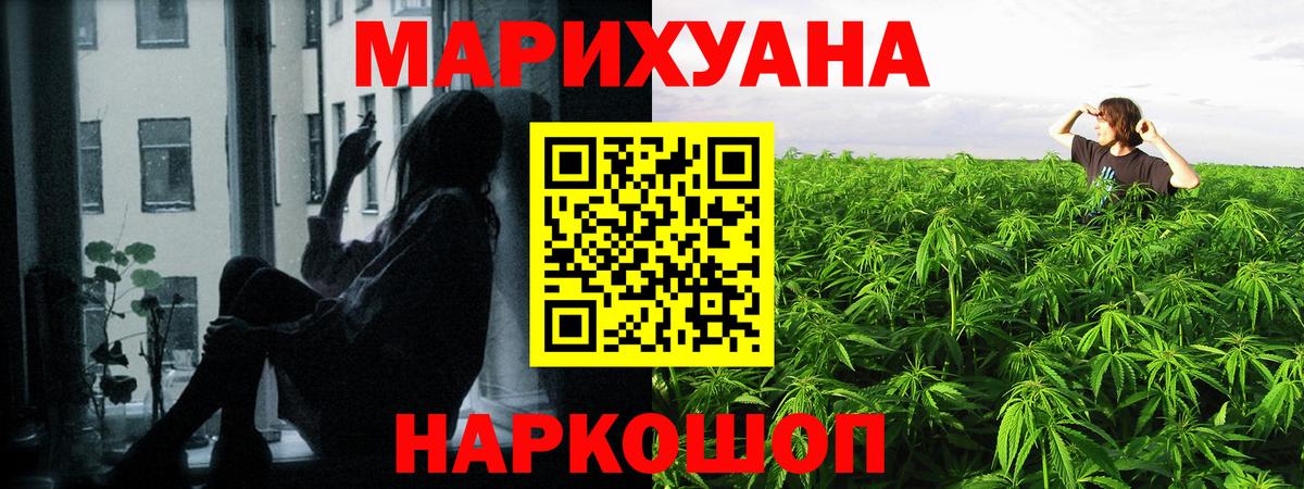 Канабис White Widow Сосновый Бор