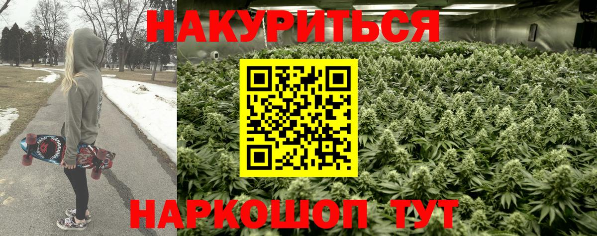 Сосновый Бор  Шишки марихуана план  Вход с VPN  Каннабис VHQ  Бошки марихуана планчик 